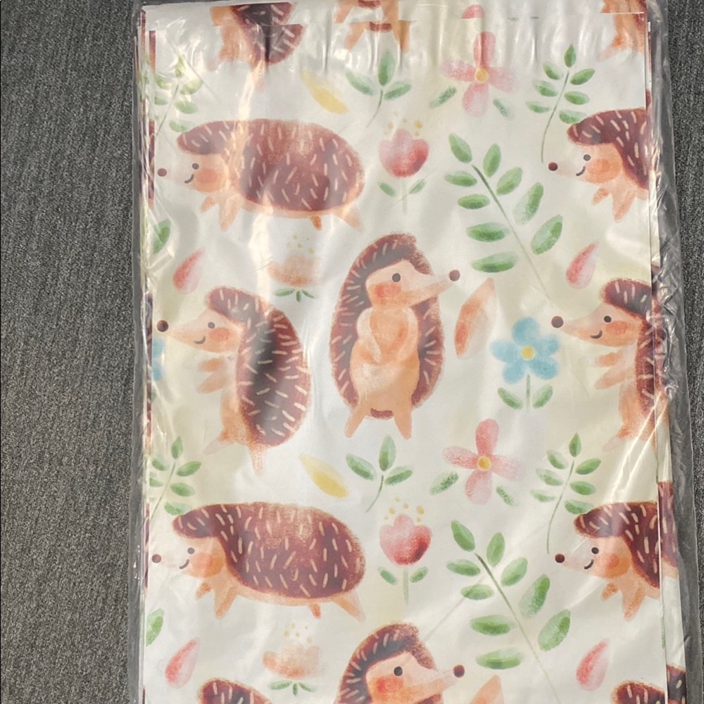 25 Hedgehog 10x13 Poly mailers